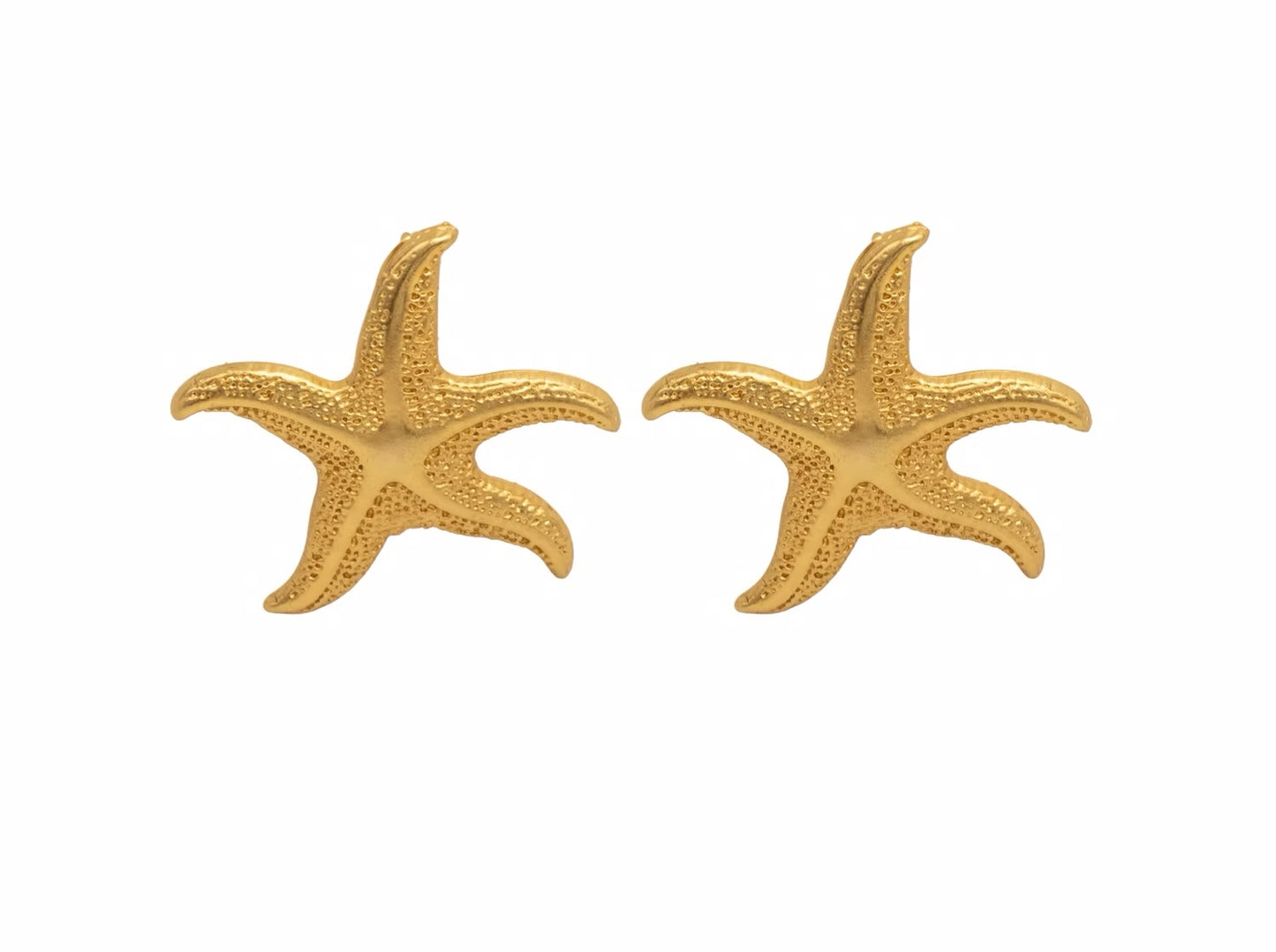Topo estrella de mar