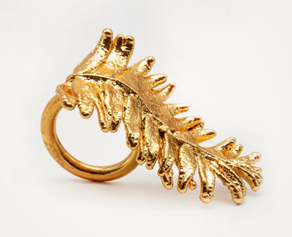 Anillo argolla Rama Orgánica