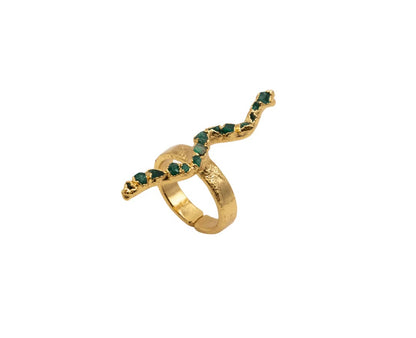 Anillo Río Magdalena