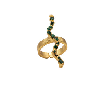 Anillo Río Magdalena