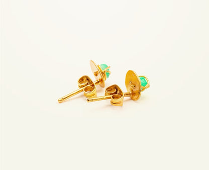 Mini Topo Alambrado Esmeralda